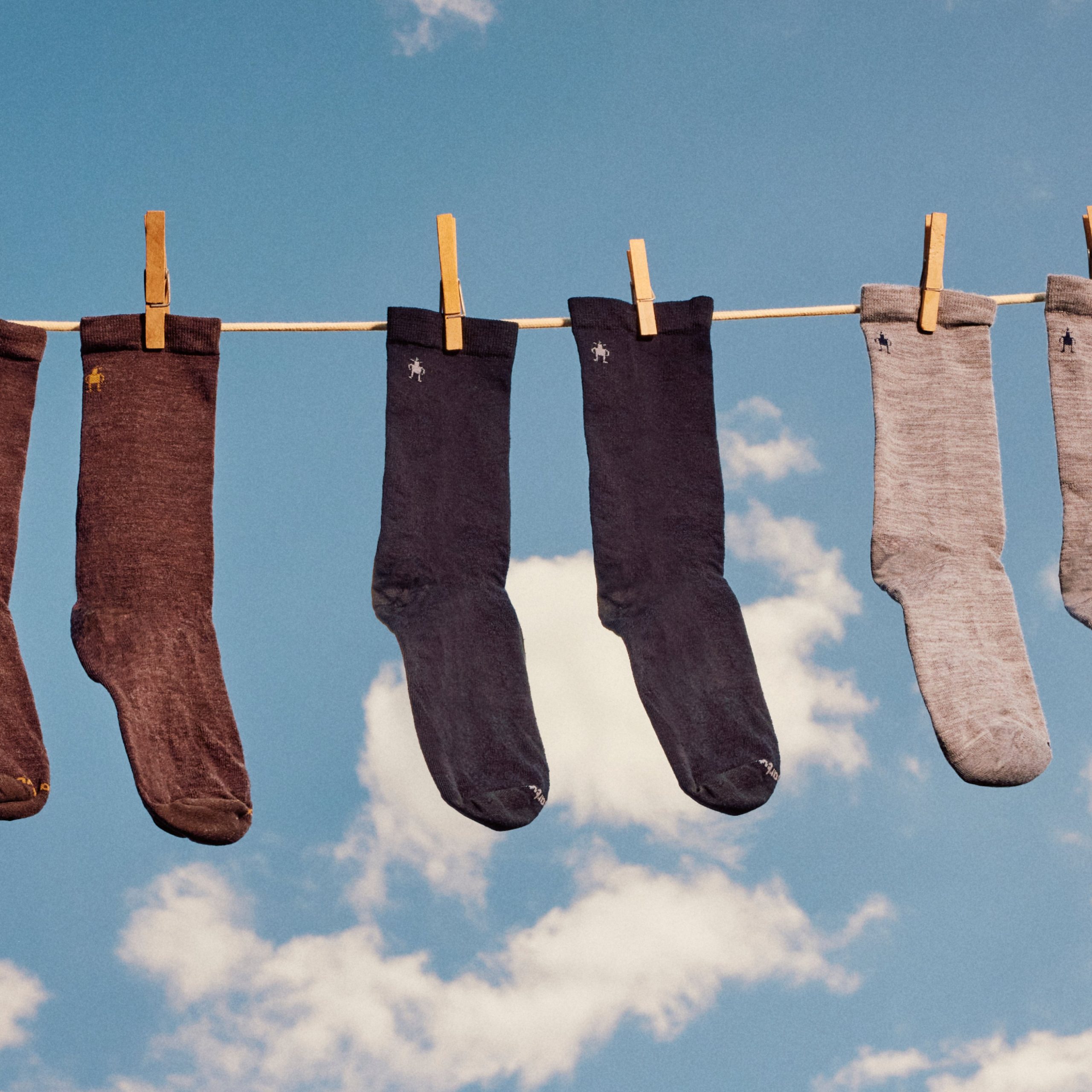 Everyday Anchor Line Crew Socks - Image 17