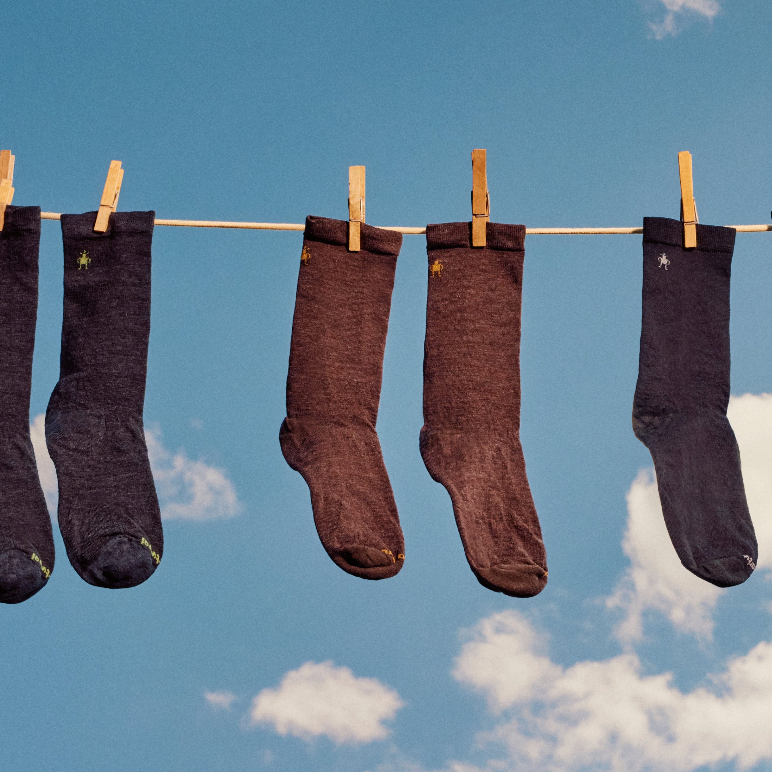 Everyday Anchor Line Crew Socks - Image 3