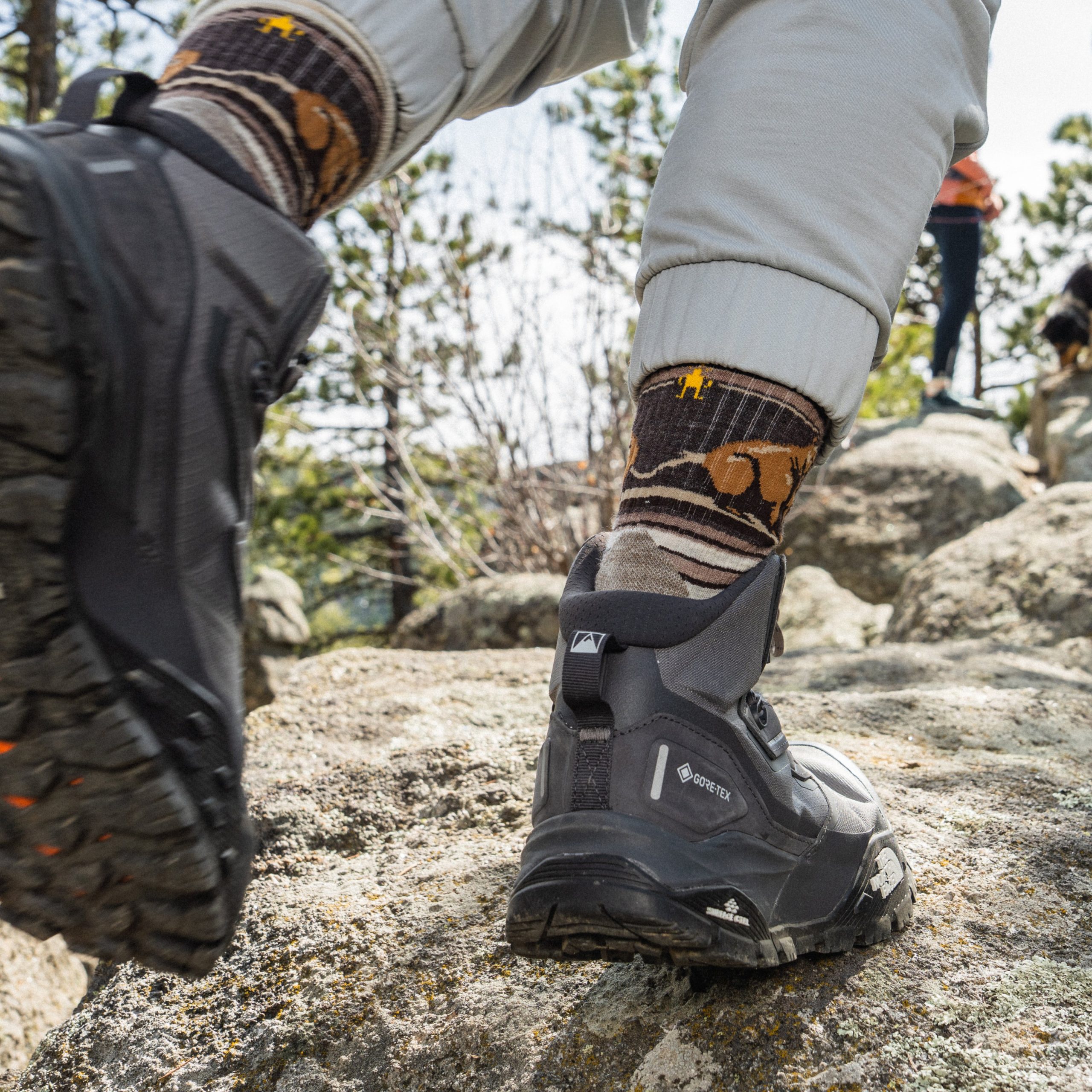 Hike Bear Stripe Mid Crew Socks - Image 3
