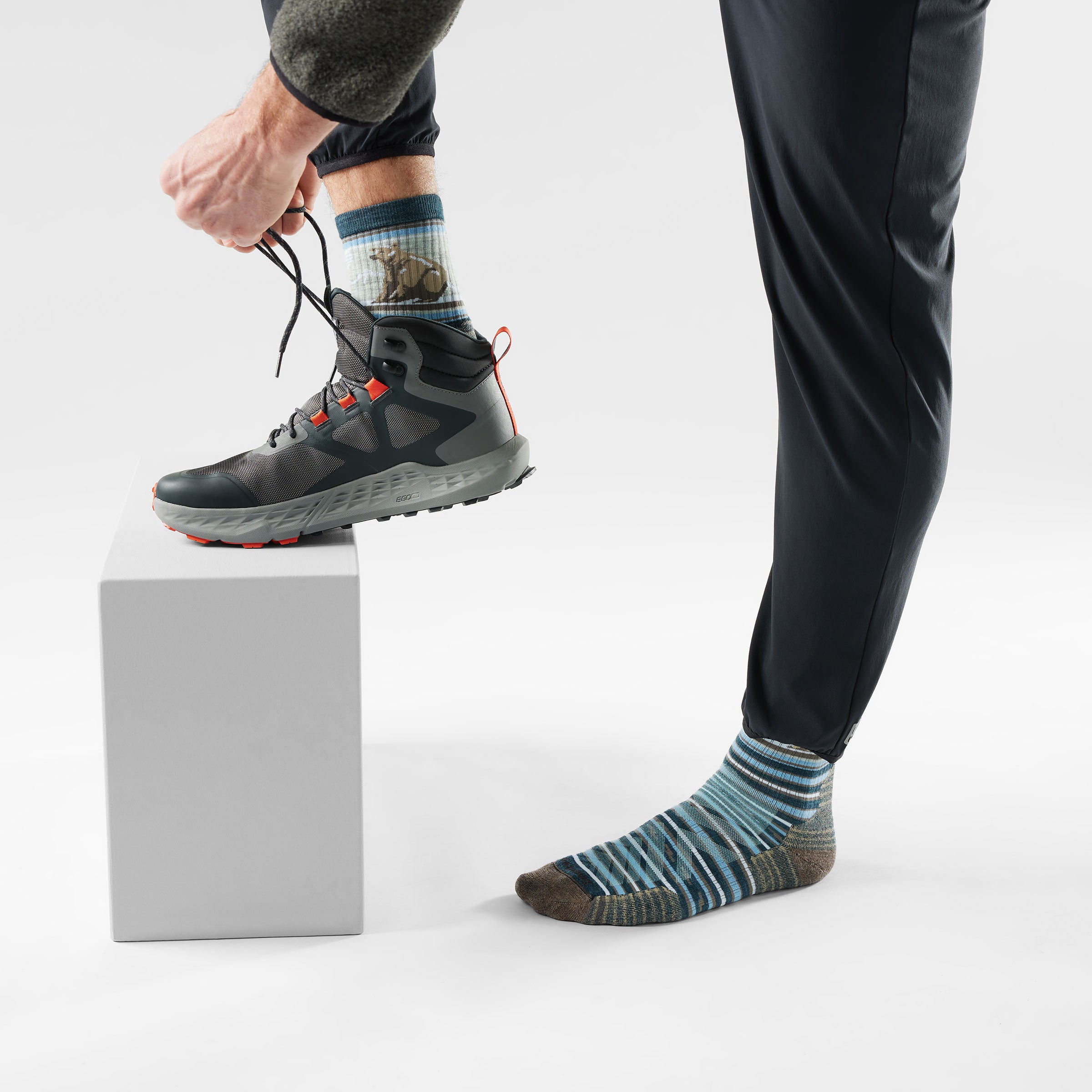 Hike Bear Stripe Mid Crew Socks - Image 6